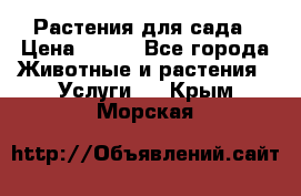 Растения для сада › Цена ­ 200 - Все города Животные и растения » Услуги   . Крым,Морская